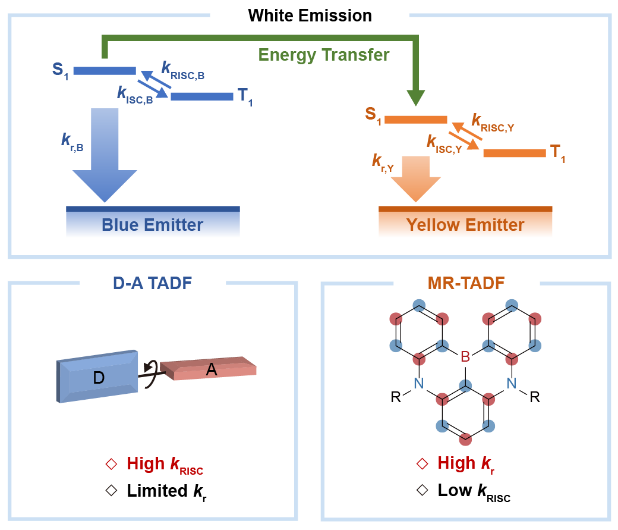 材料學(xué)院楊楚羅教授團(tuán)隊(duì)Nat. Commun：高功率效率、長(zhǎng)壽命的白光有機(jī)發(fā)光二極管